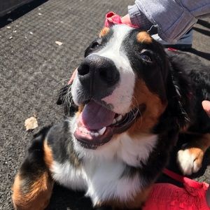 Meet your Posher, Alexx